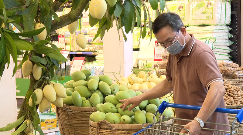 Tuần hàng xoài Đồng Tháp tại các hệ thống phân phối