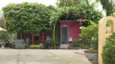 Đa dạng món ăn chế biến từ khoai môn