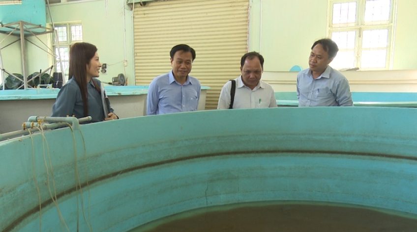 Trường nghề Hồng Ngự: Hạn chế đào tạo đại trà, chú trọng nghề nông thôn