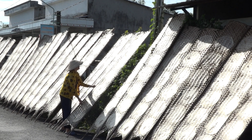 Làng nghề bánh tráng Tân Phước rộn ràng mùa tết