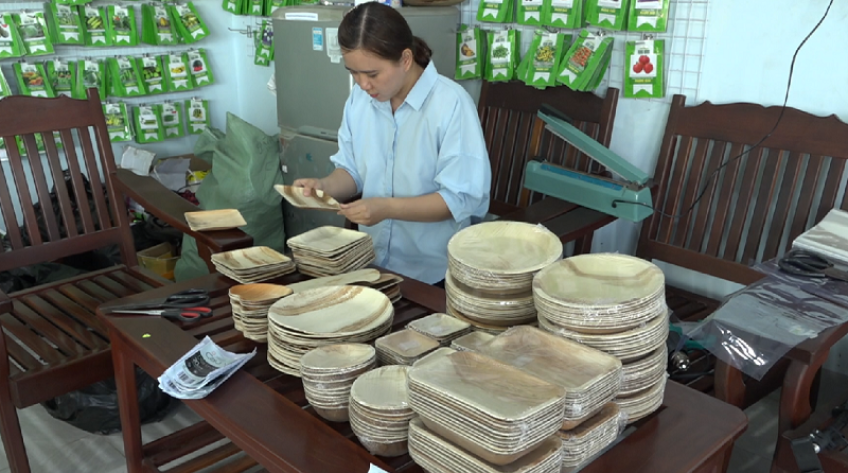 Độc đáo sản phẩm từ mo cau