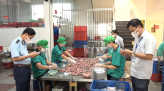 Nông dân Đồng Tháp thu hoạch lúa bán dịp Tết