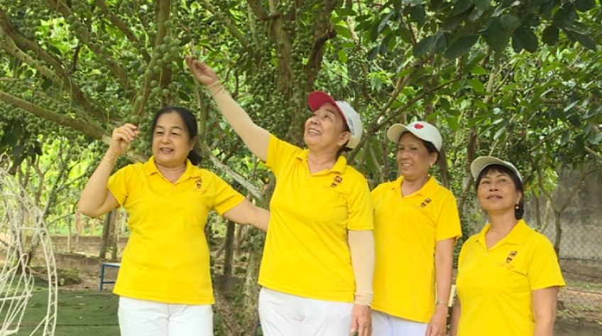 Check in vườn dâu xanh mát giữa lòng TP.Cao Lãnh