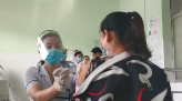 Ngắm bó hoa cẩm tú cầu cao gần 5 mét ở Sa Đéc