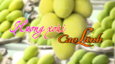 Tái cơ cấu nông nghiệp - 23/4/2023: Nông nghiệp hữu cơ của nông dân đổi mới