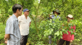 Lớp học cha và con
