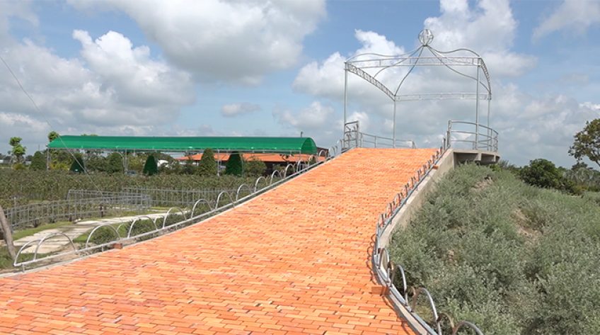 Cánh đồng hoa hồng 2,5ha ở Sa Đéc sẽ mở cửa tham quan miễn phí dịp 02/9