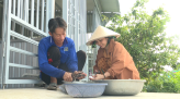 Chìa khóa của bài toán đầu ra cho nông sản
