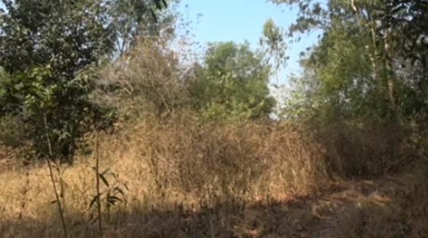 Tăng cường phòng chống cháy rừng mùa khô