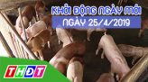 Thời sự tối - Thứ Sáu, 26/4/2019