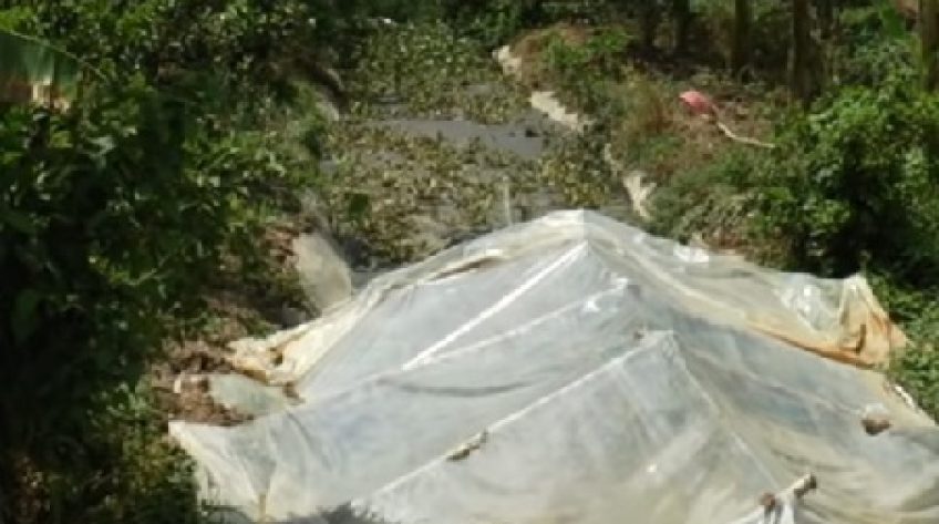 Khổ vì mùi hôi từ cơ sở chế biến thủy sản