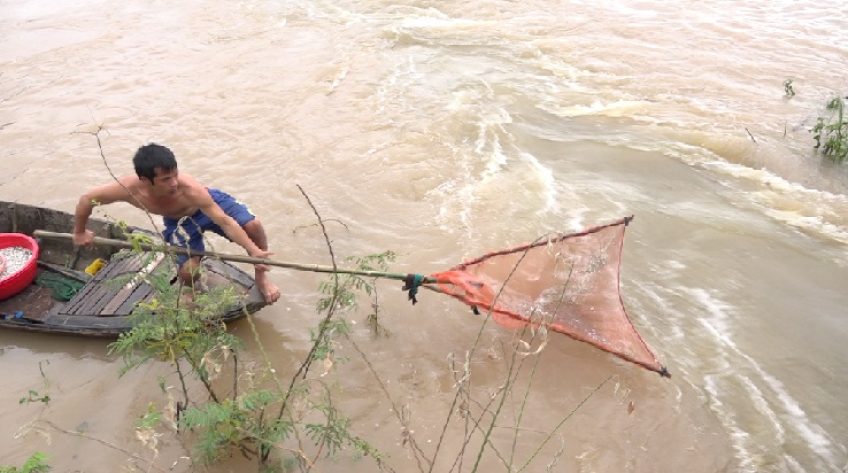 Phong phú nghề mưu sinh mùa nước nổi