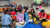 Xuất cấp hóa chất khử khuẩn cho các tỉnh phòng, chống dịch bệnh