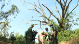 Lời chia tay của những lao động đi làm ăn xa