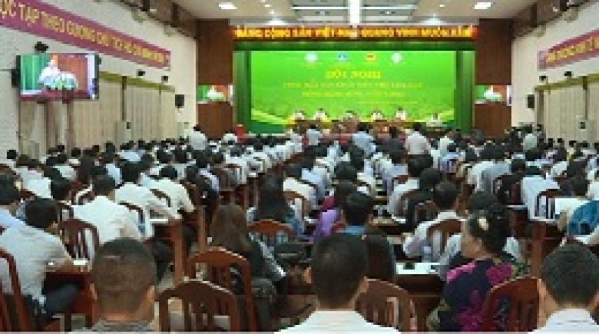 Tìm giải pháp dài hơi cho vấn đề tiêu thụ lúa gạo ĐBSCL