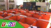 Nhịp sống 24h - Trưa thứ năm, 26/3/2020