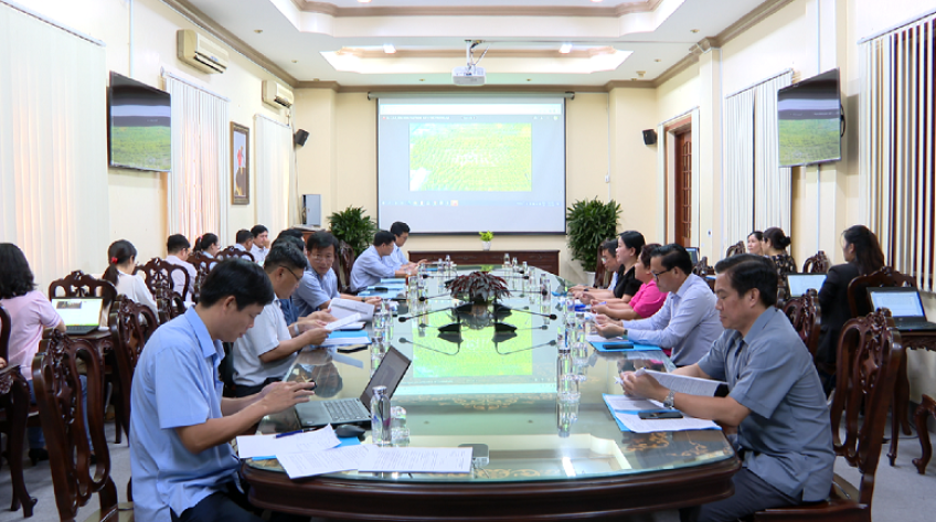 Các nội dung chuẩn bị Lễ hội Xoài đạt tiến độ đề ra