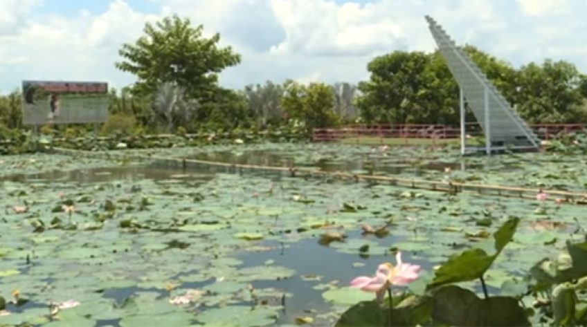 Hỗ trợ gần 6 tỷ đồng cho người làm du lịch