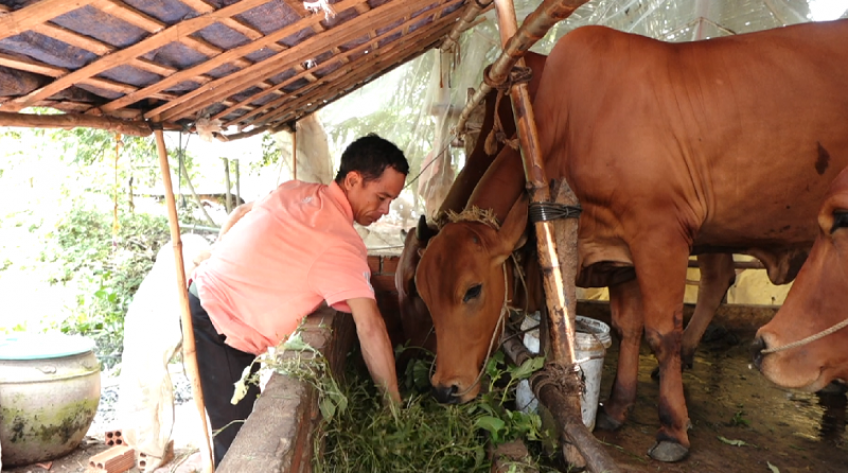 H.Hồng Ngự: Triển khai hiệu quả các nguồn vốn giúp giảm nghèo bền vững