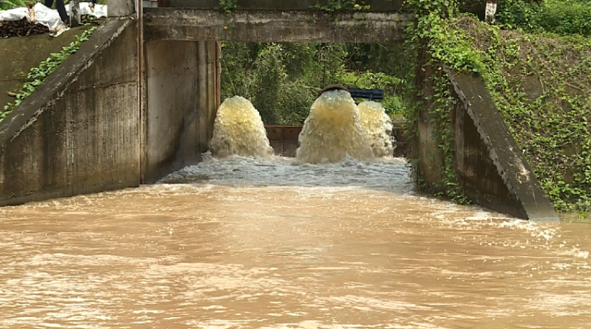 HTX bơm thoát úng cho lúa và cây ăn trái của thành viên