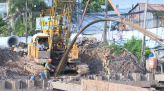 Nông dân An Nhơn đam mê tái tạo xanh
