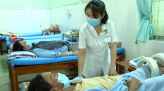 Dự kiến thả sếu tại khu A4 Vườn quốc gia Tràm Chim