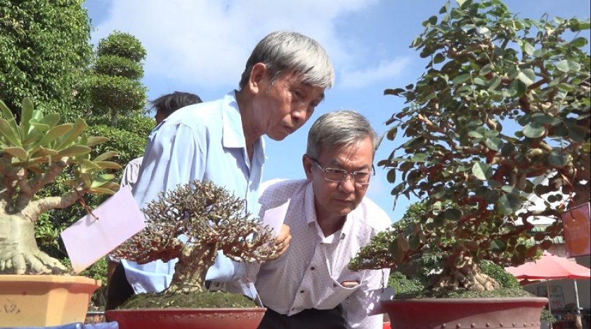 Khai mạc Hội thi và trưng bày sinh vật cảnh đồng bằng sông Cửu Long