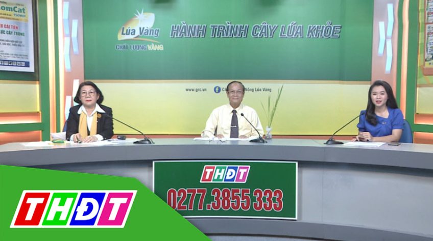 Tư vấn khuyến nông - 27/04/2020: Đạo ôn, sâu cuốn lá những lo lắng khi giao mùa