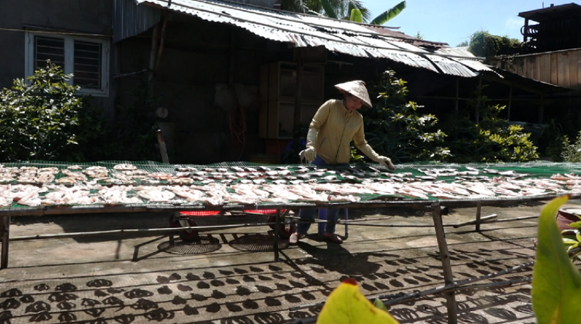 Nhộn nhịp làng nghề khô, nước mắm vùng biên