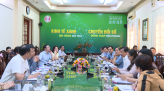 Hấp dẫn giống cà chua leo của nhà vườn Sa Đéc sưu tầm