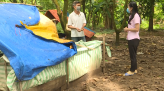 Câu chuyện giao thông - 27/11/2021: Để không phải là nạn nhân của tai nạn giao thông