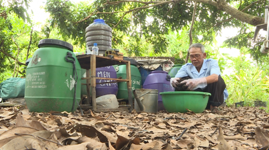 Nông dân An Nhơn đam mê tái tạo xanh