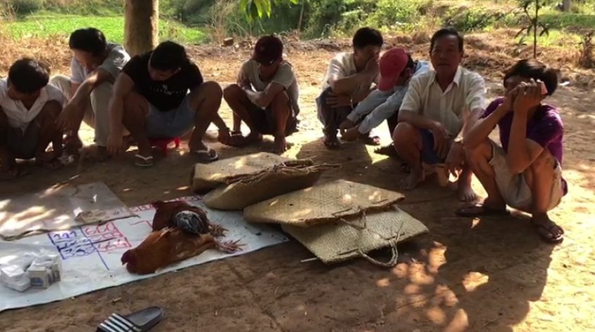 H.Hồng Ngự: Triệt phá tụ điểm đá gà, lắc tài xỉu 15 người tham gia