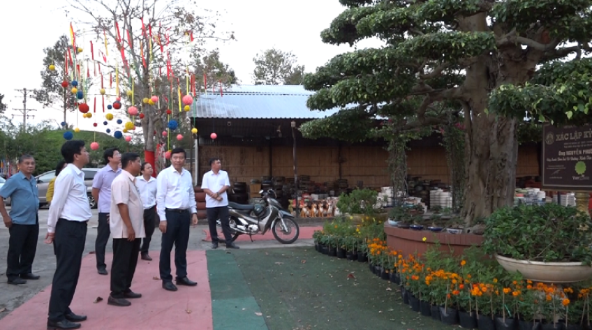 Tiến độ chuẩn bị Festival Hoa - Kiểng Sa Đéc