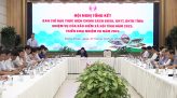 Rực rỡ cổng hoa, vườn hoa, công sở và đường hoa chào mừng Festival