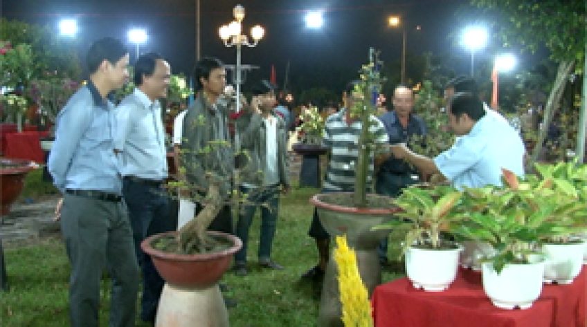 Lễ hội Hoa xuân Sa Đéc sẽ khai mạc ngày 14/01/2020