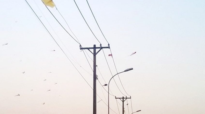 Không nên bỏ qua yếu tố an toàn khi thả diều