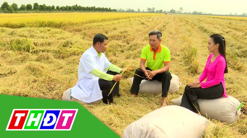 Cánh đồng hội nhập - 27/02/2021: Hiệu quả cánh đồng hội nhập - Vụ Đông Xuân