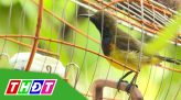 Cửa sổ văn hóa - 29/03/2021: Dạy đờn ca tài tử và cải lương