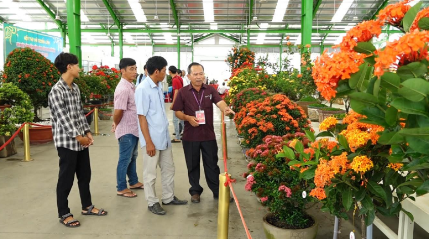 1.500 tác phẩm dự thi và triển lãm sinh vật cảnh tại TP.Sa Đéc