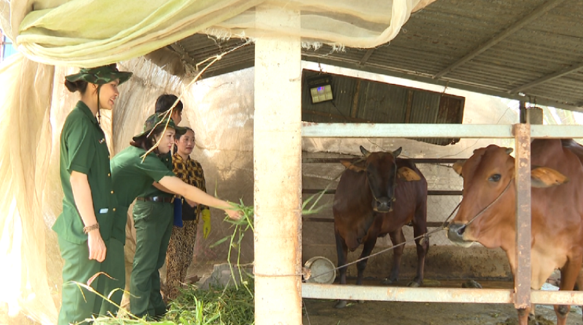 Mô hình giảm nghèo của người lính