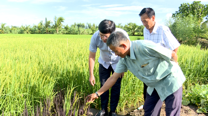 Giám sát tái cơ cấu nông nghiệp và giảm nghèo bền vững ở H.Lấp Vò