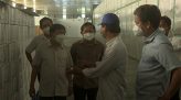 Tạo thuận lợi cho doanh nghiệp ngoài tỉnh thu mua lúa