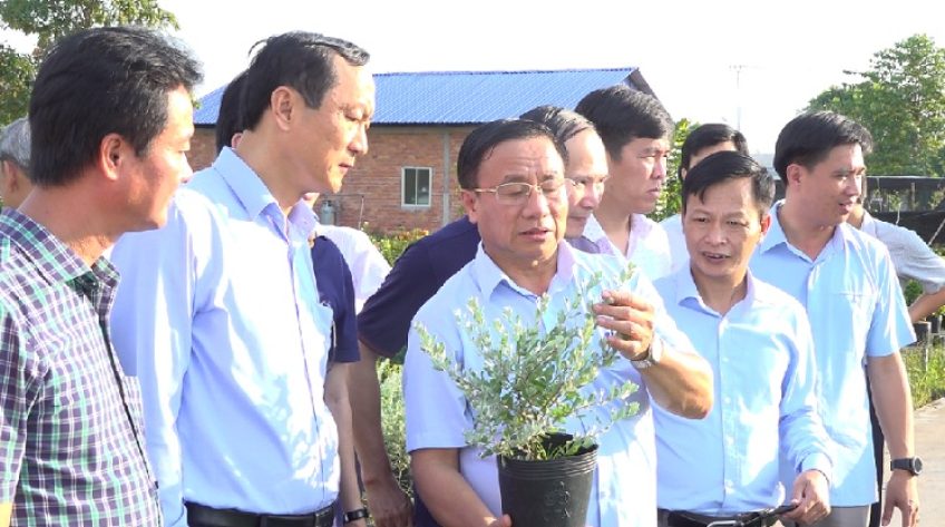 Hà Tĩnh tìm hiểu mô hình hội quán tại Đồng Tháp