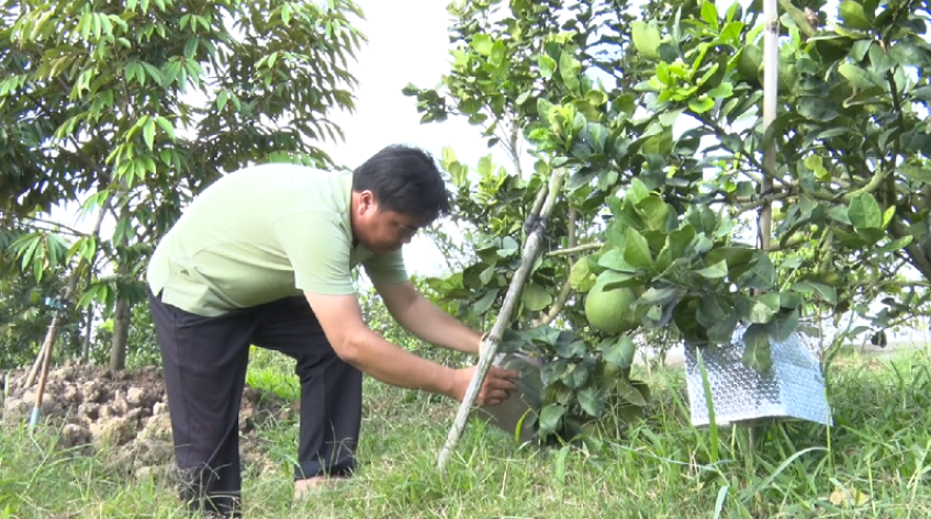 Nông sản tạo hình tiền triệu hút hàng trước Tết