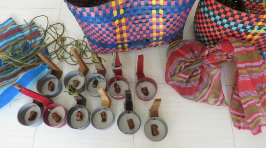 Bắt 3 đối tượng chuyên trộm mèo