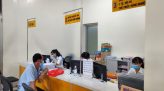 Ngày chủ nhật xanh của tuổi trẻ đất sen hồng