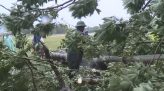 Vườn ngập, hư cây vì kênh thủy lợi không thoát nước