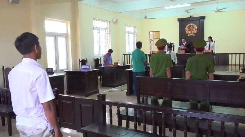 Cảnh giác tình trạng lừa mua hoa kiểng và chiếm đoạt