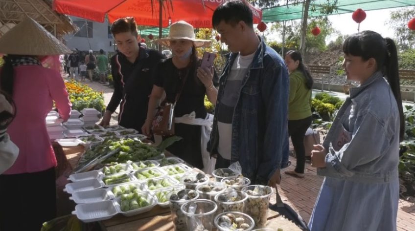 Hơn 5 ngàn lượt du khách tham quan VQG Tràm Chim dịp Tết